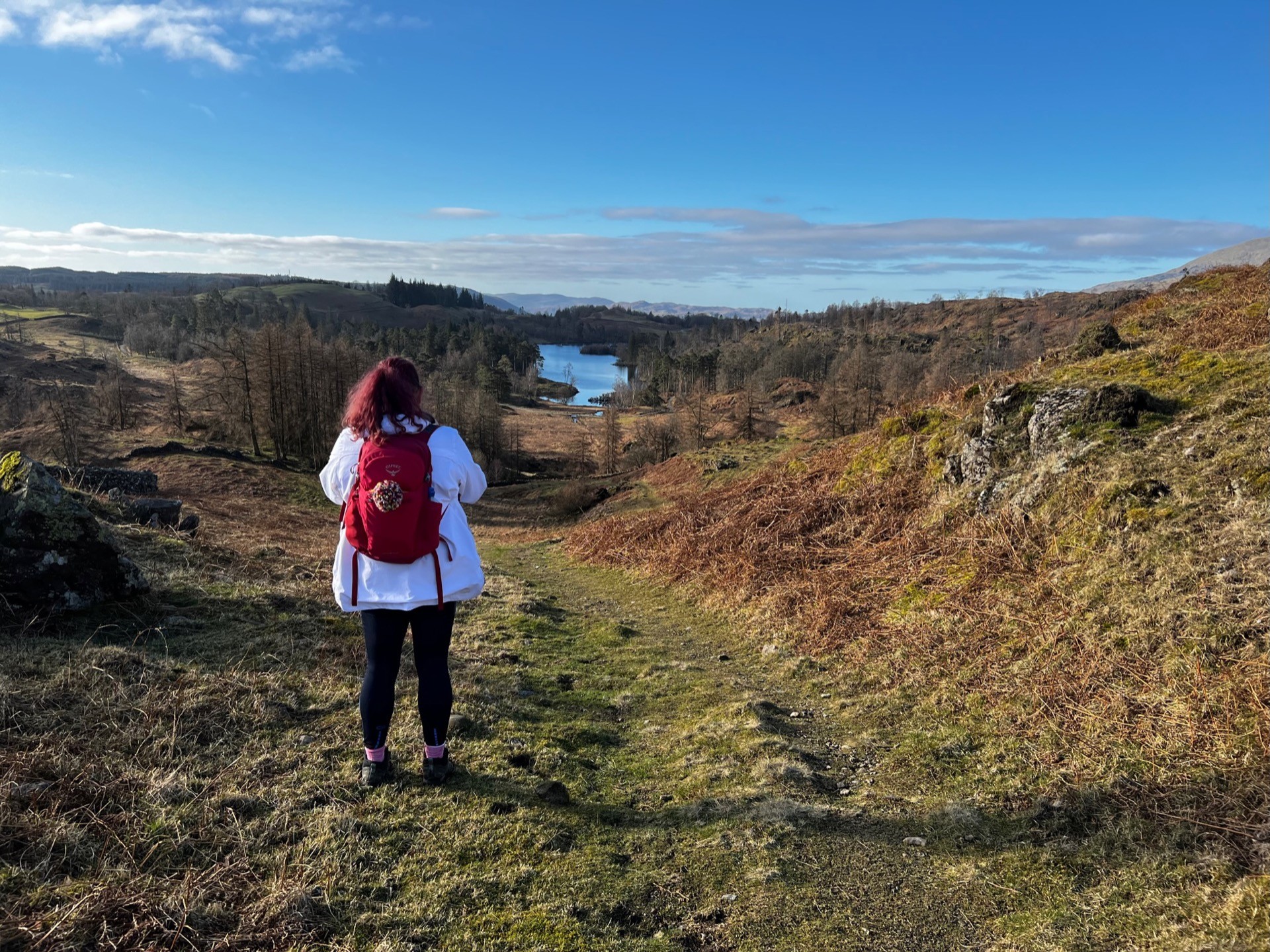 April stood looking back down the hill we just climbed. A clear sky and Tarn Hows in the distance.