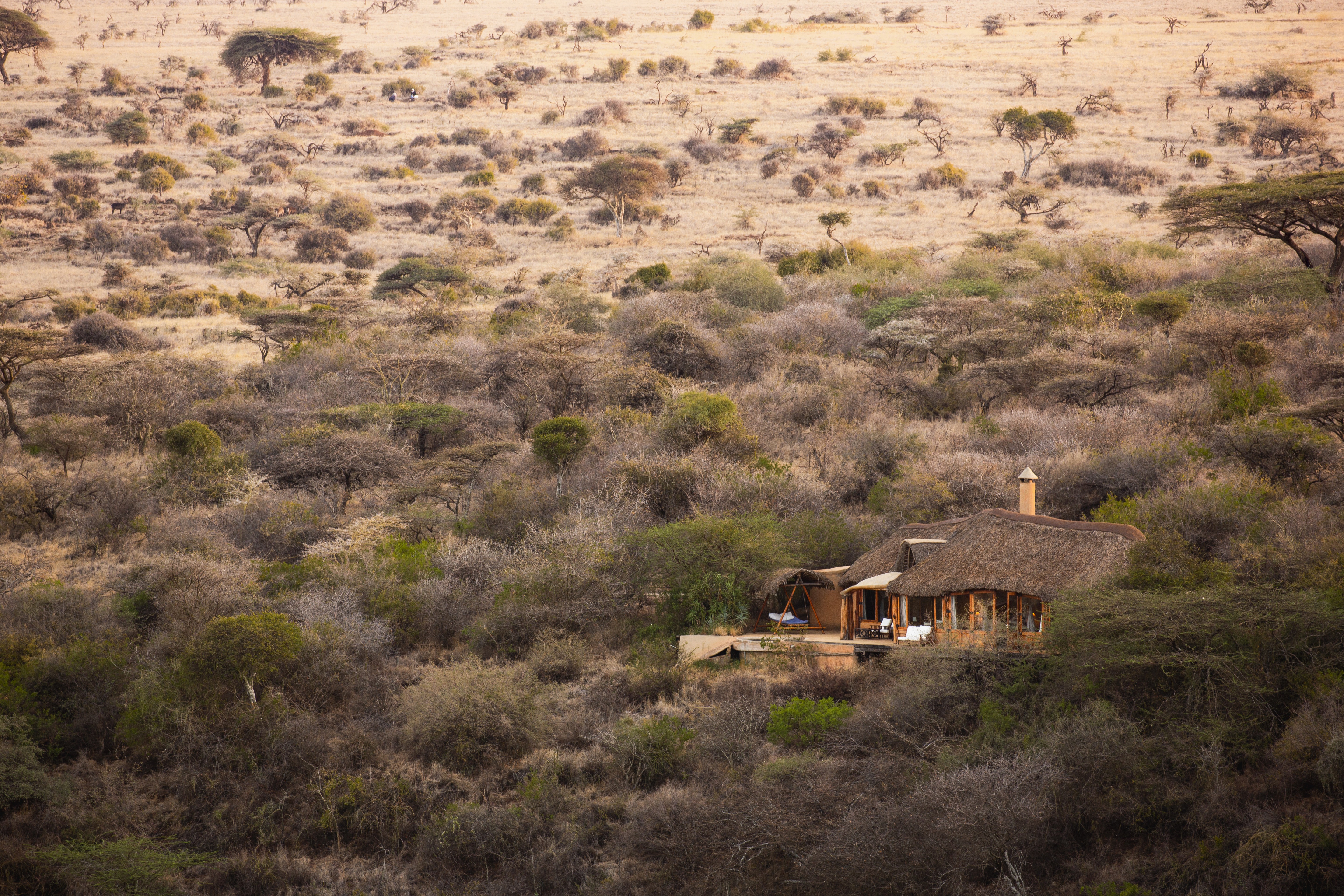 Tree Camp i Mashatu Game Reserve, Botswana – unikt boende byggt på en platå i ett träd, med säng omgiven av myggnät under ridresa med Africa by Horse.