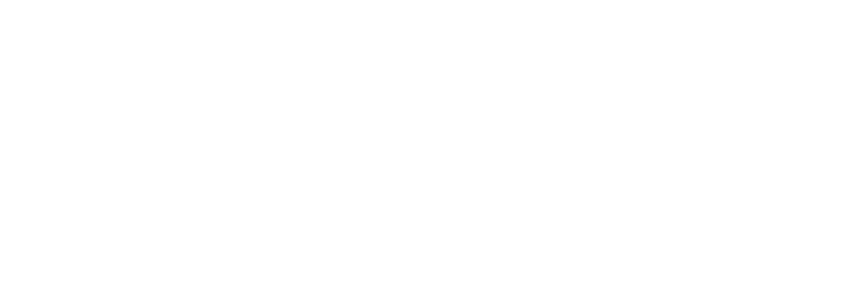 Logo Design Project for a Client