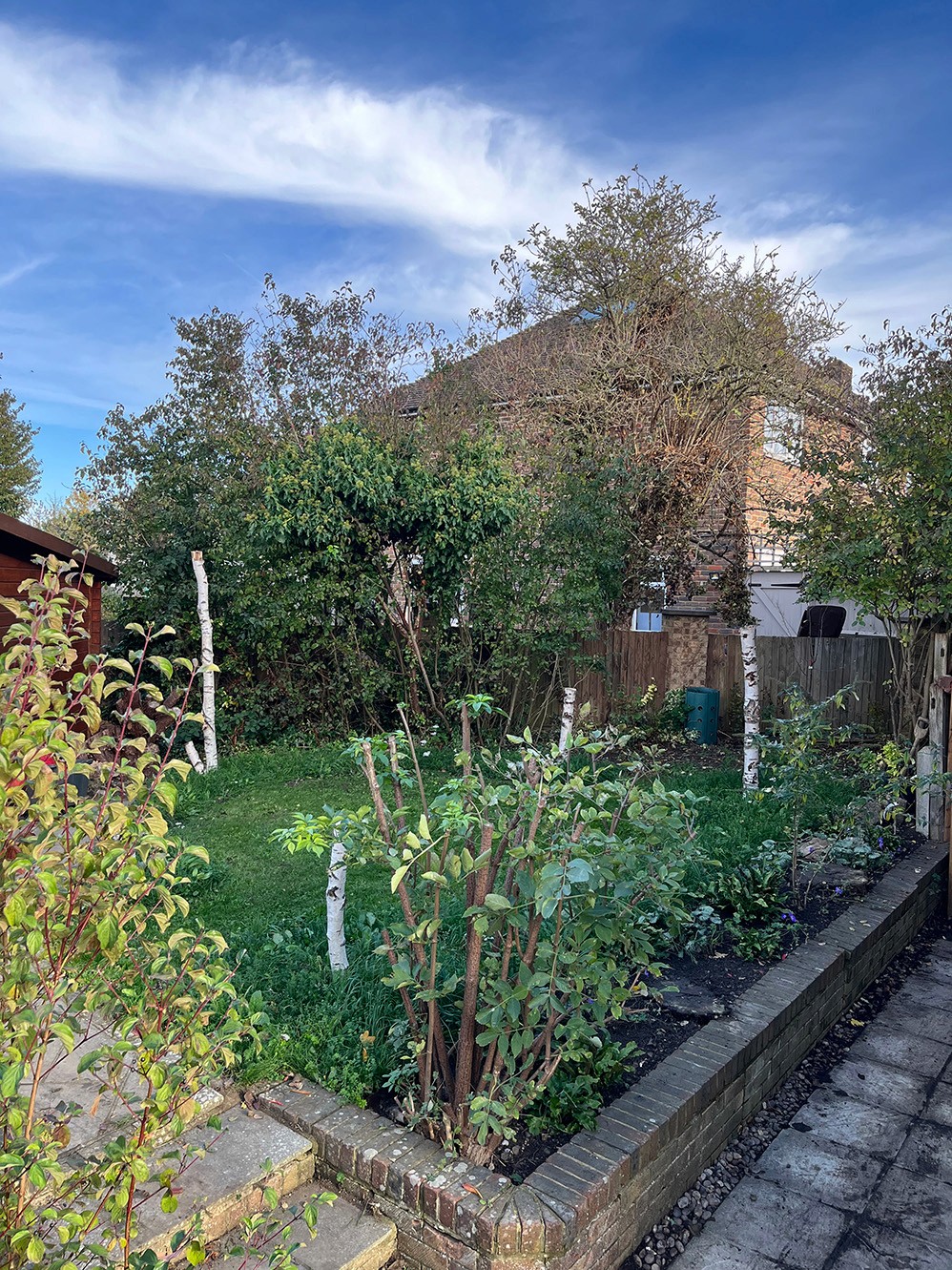 A sunny garden with various plants and greenery, bordered by wooden fences and blue skies in the background.