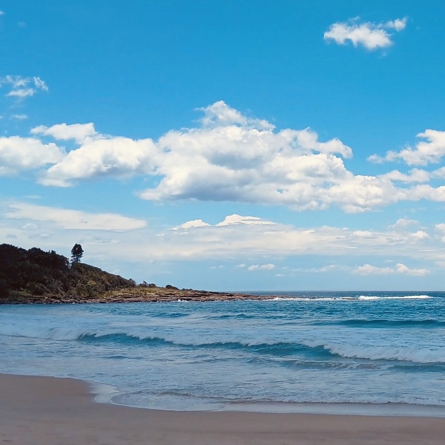 Sandy beach with calm shore