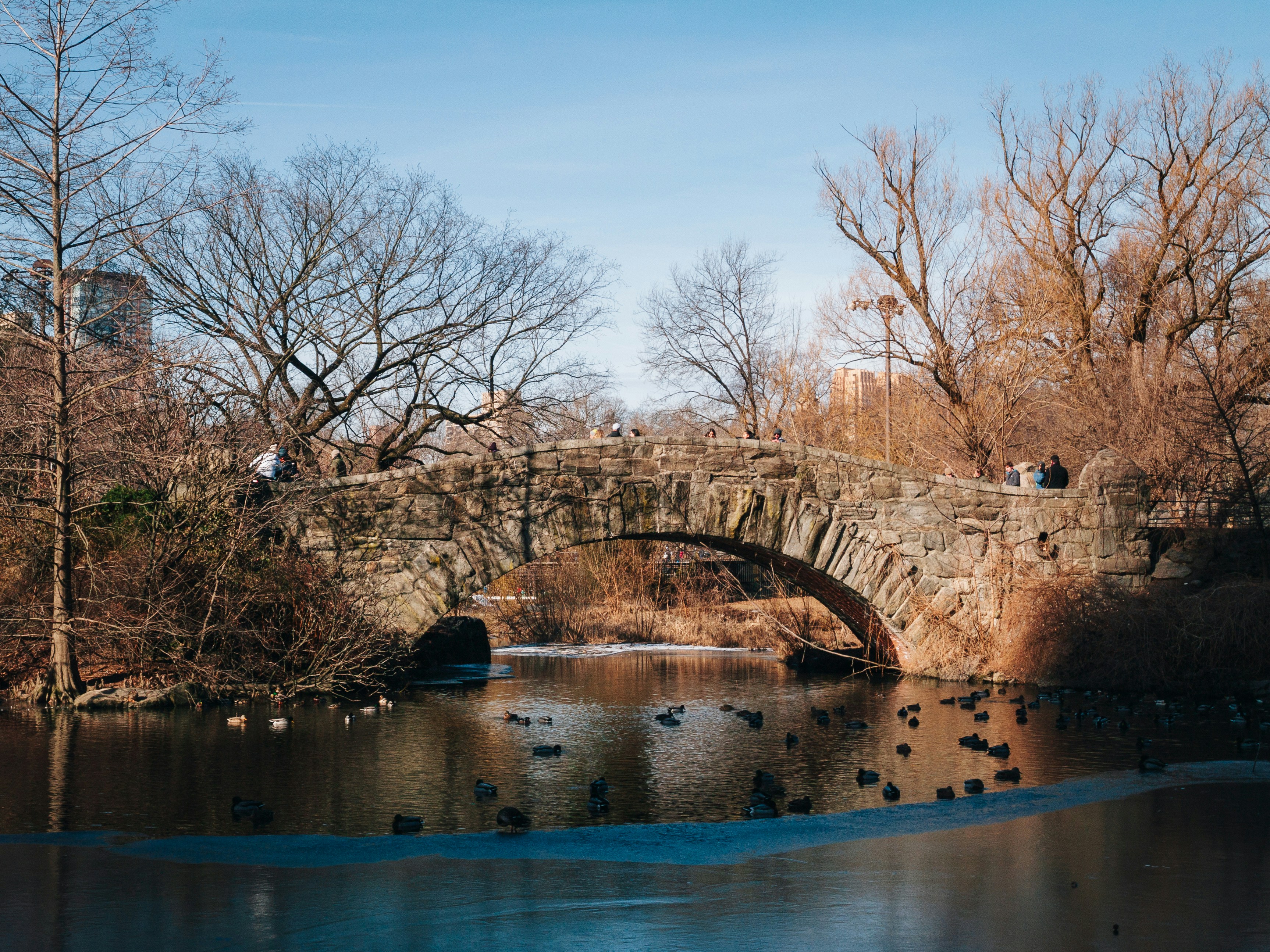 A stone bridge over a river with ducks on it