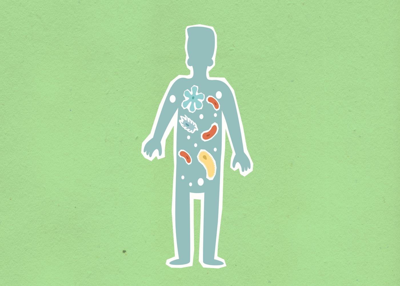 Diagram of the human body representing the digestive microbiome
