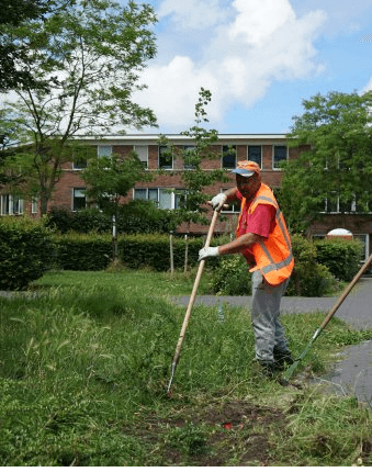 Beautiful landscaped garden with greenery and outdoor design elements.