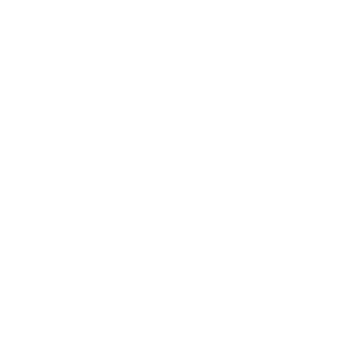 Logo Design Project for a Client