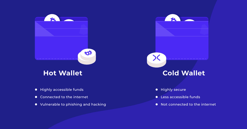 Differences between hot and cold crypto wallets including accessibility, internet connection, and vulnerability