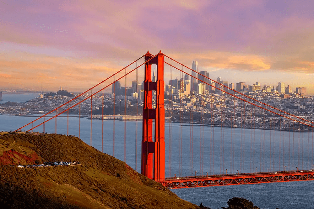 High school student in San Francisco conducting original research with a university mentor online