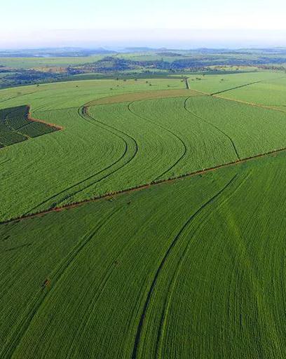 Campo e produção