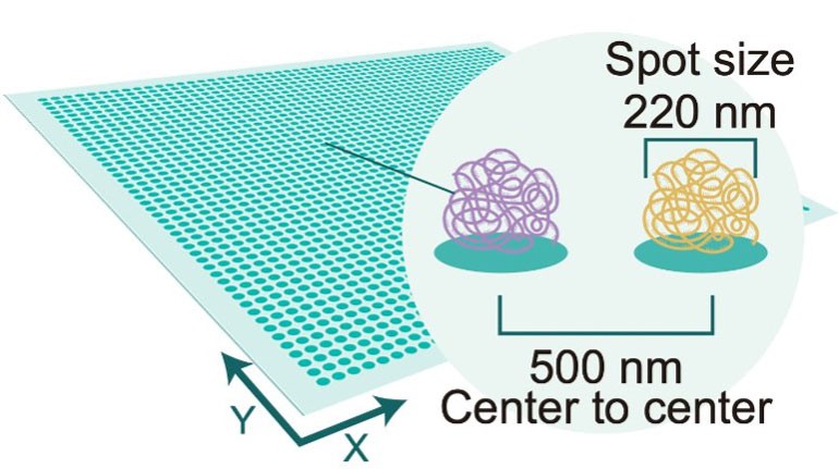 single-cell-resolution-stereo-seq