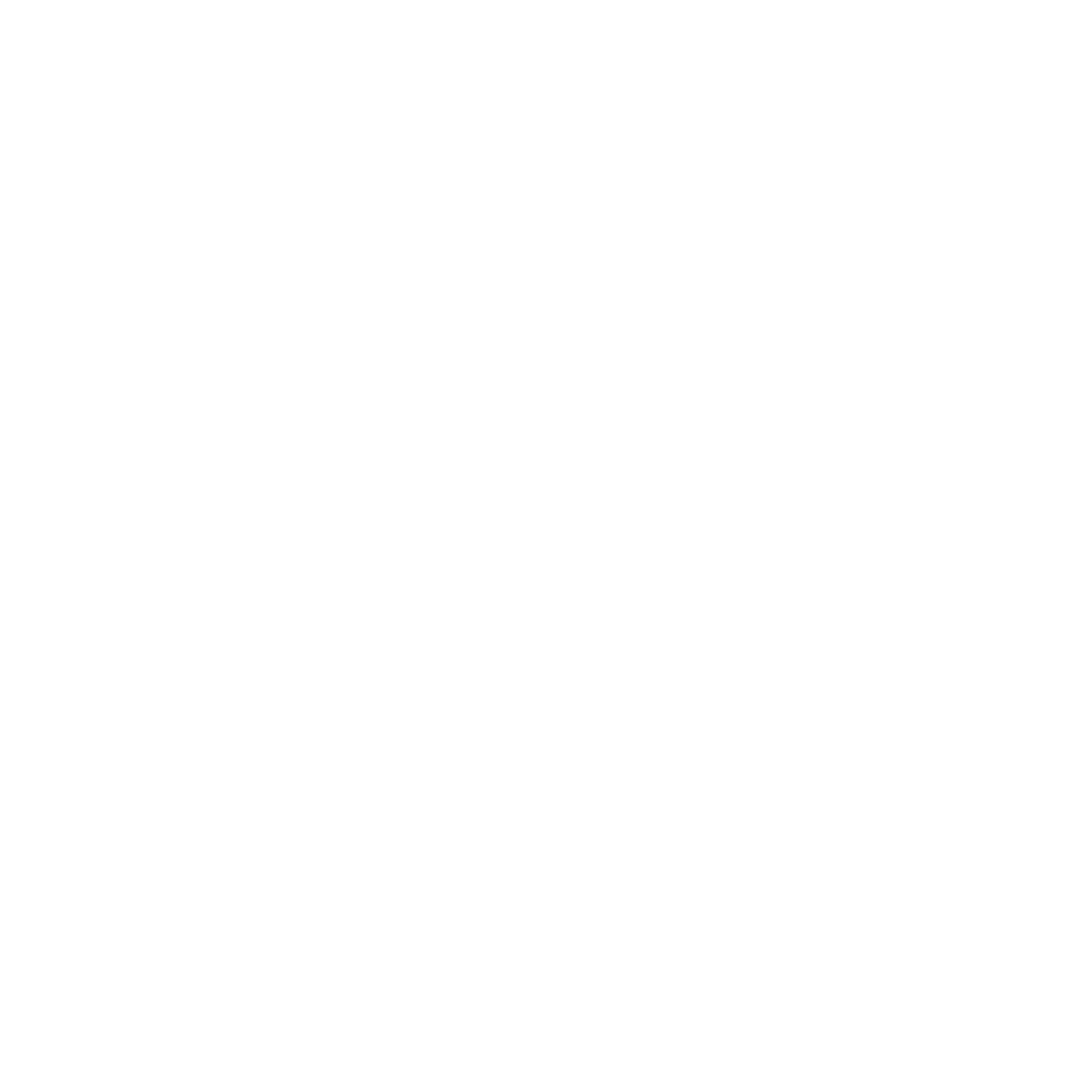 Logo Chocolaterie Castelainn
