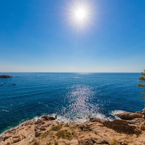 托萨和洛雷特德马尔