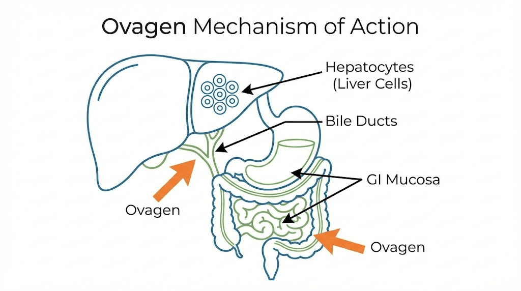 ovagen peptide