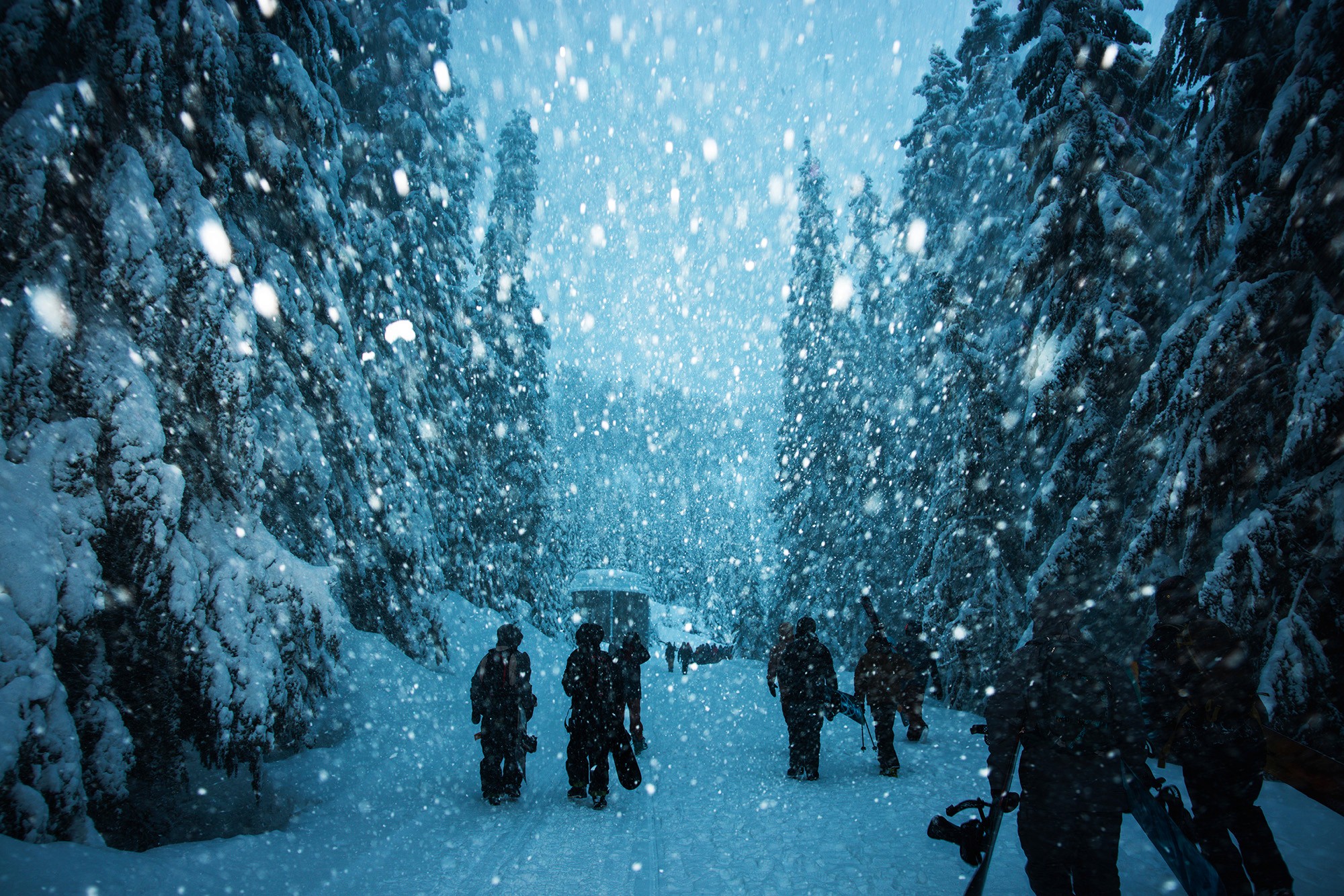 Skiers and snowboarders at Mt Baker