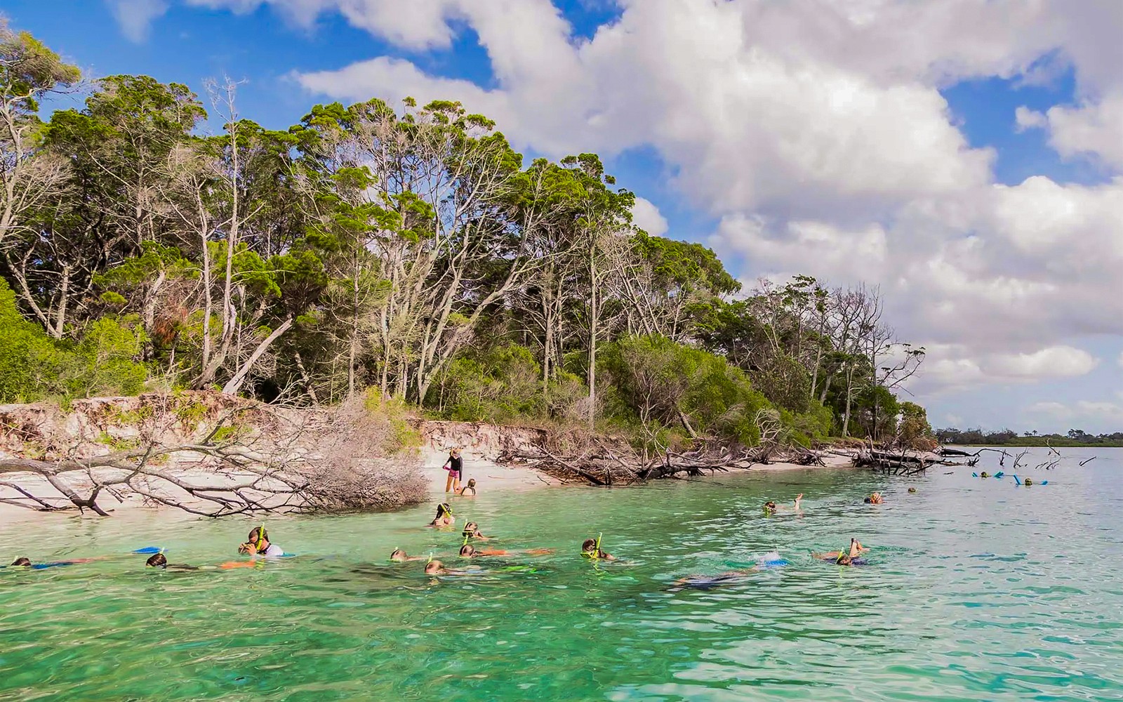 游客在弗雷泽岛（K'gari）近岸浮潜，背景是一片郁郁葱葱的绿地。