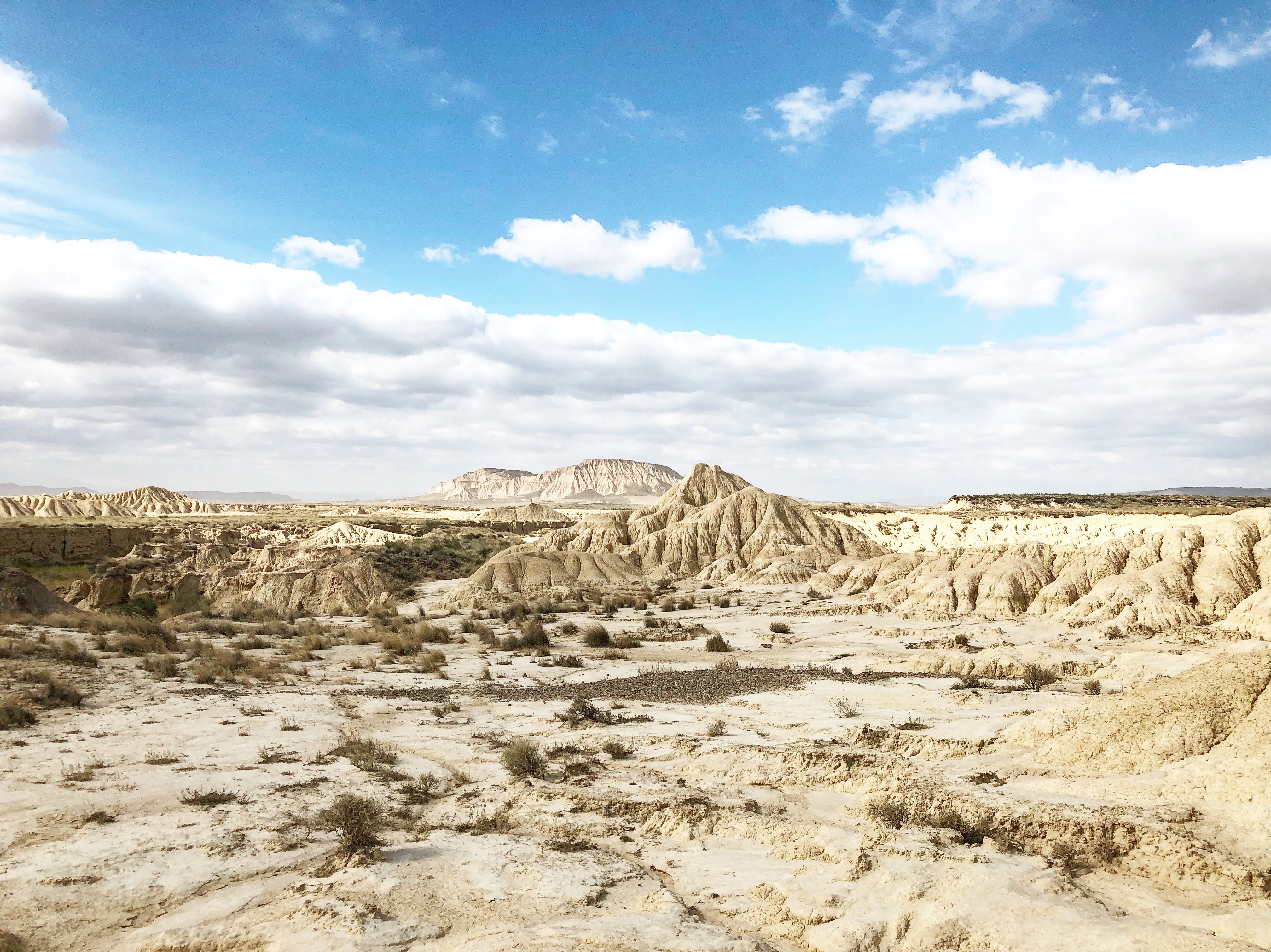 Bardenas
