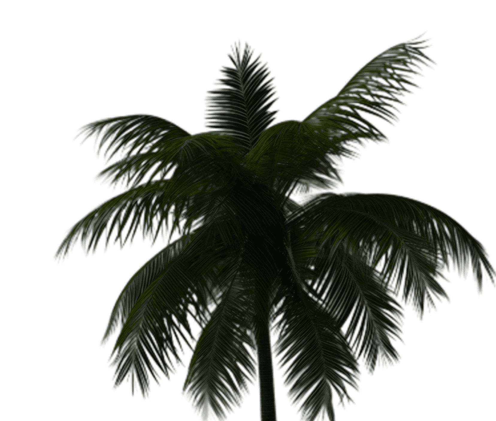 Footer tree