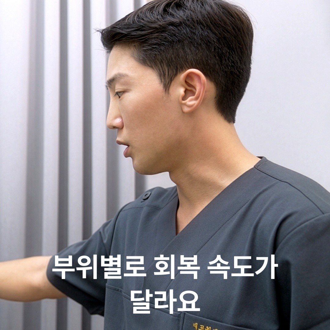 "등판 타투, 아래쪽이 왜 더 안 빠질까?" — 피부 두께에 따른 회복 속도의 진실