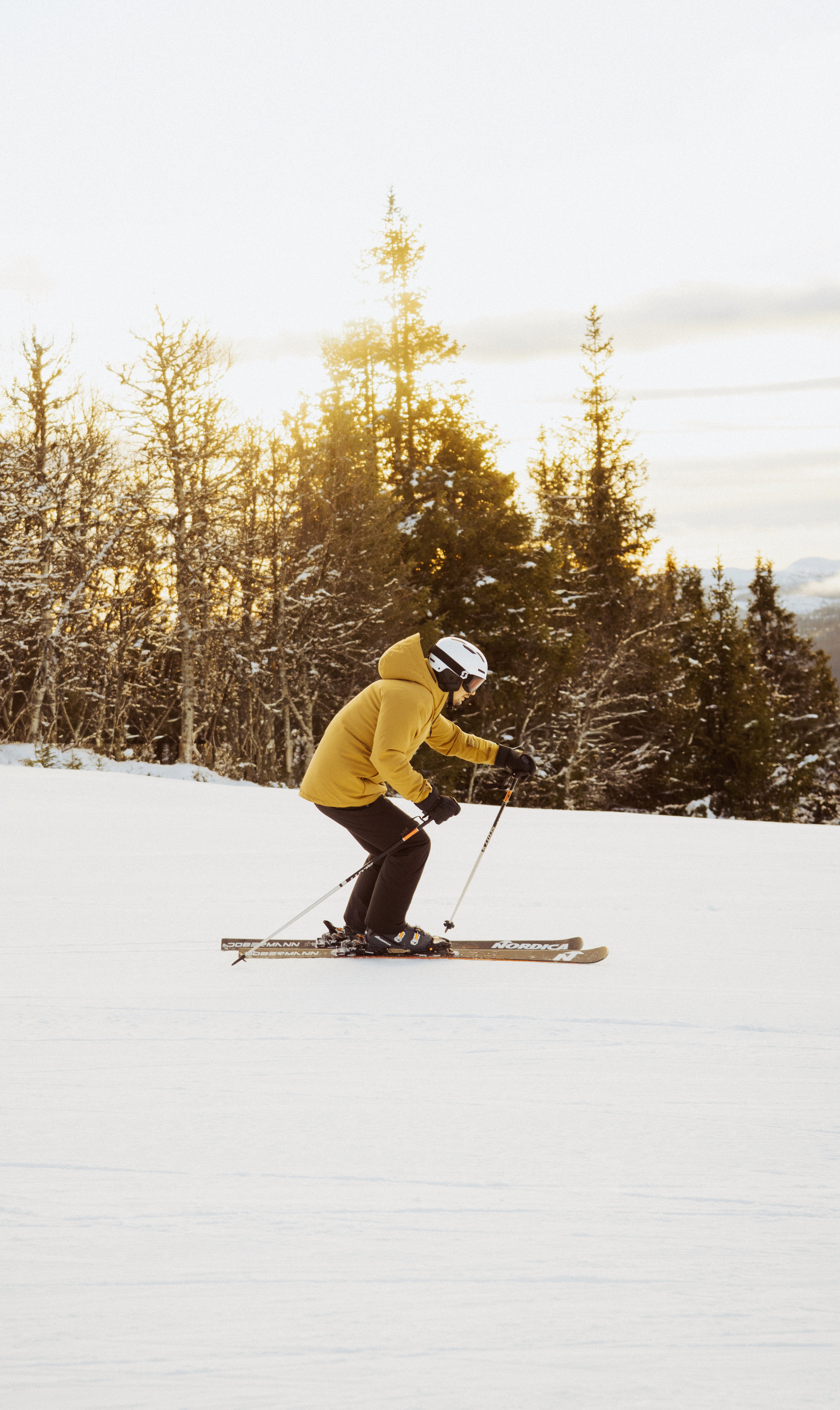 fotograf lillehammer - ski alpinco