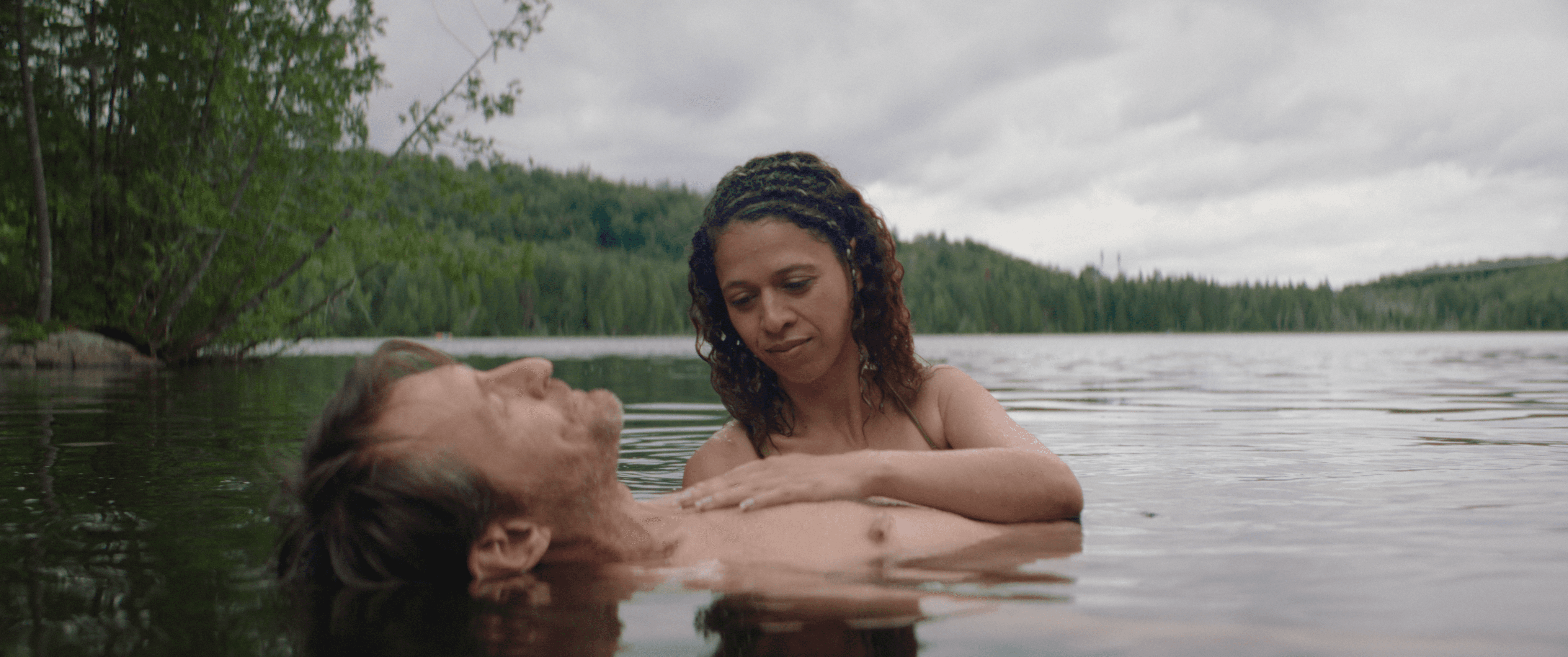 A green butterfly rests on a flower.