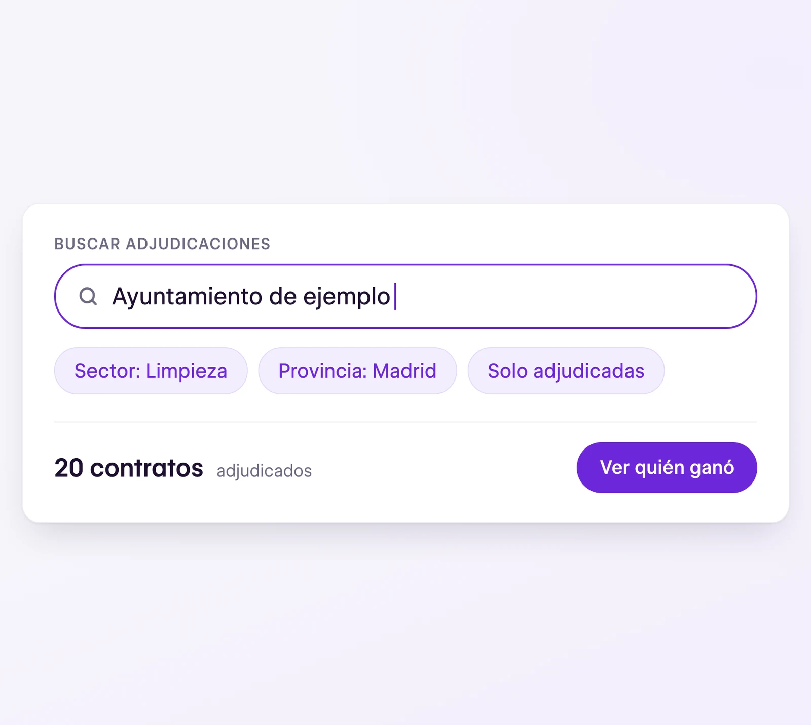 Búsqueda de adjudicaciones de limpieza en un ayuntamiento, con 20 contratos adjudicados