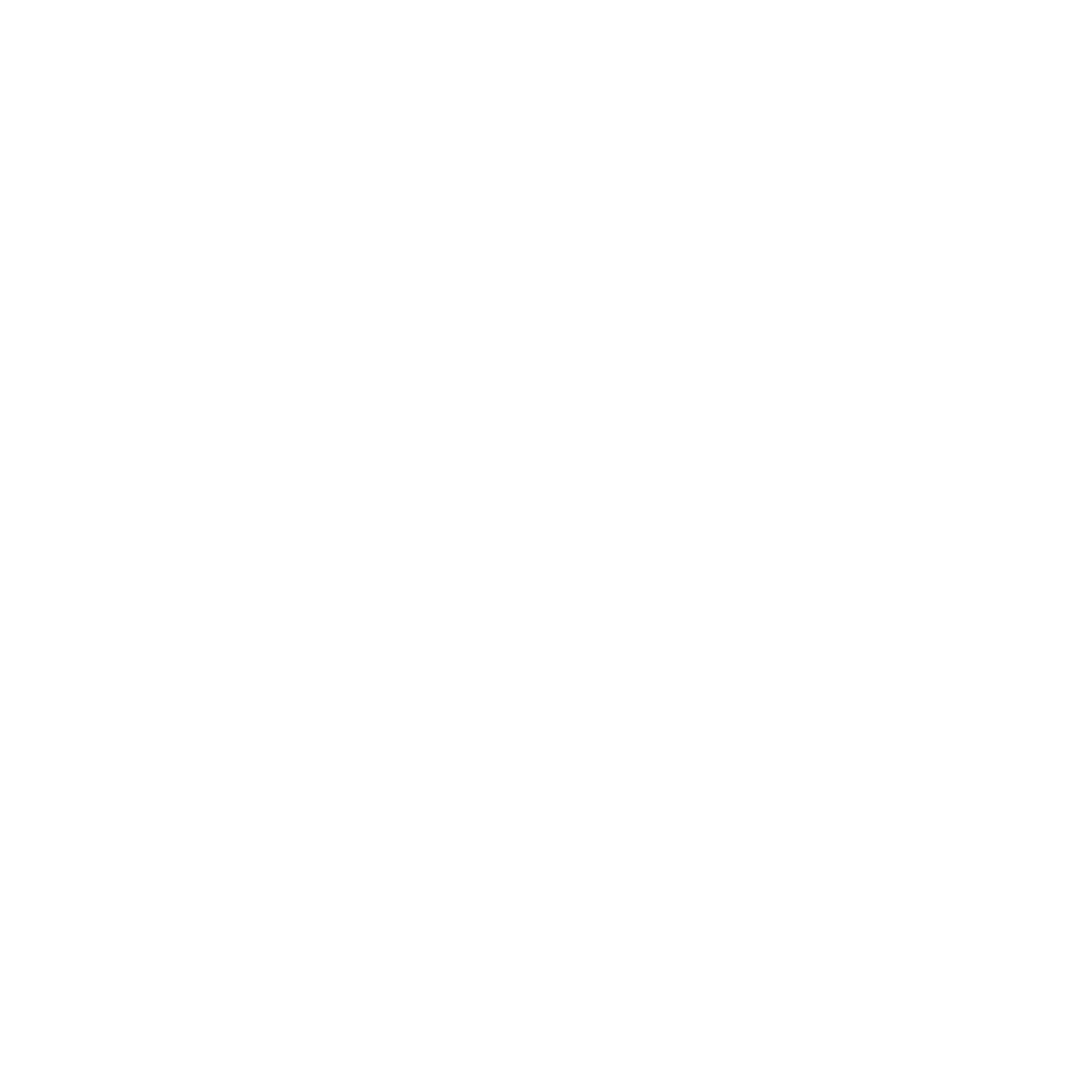 FLUX Logo