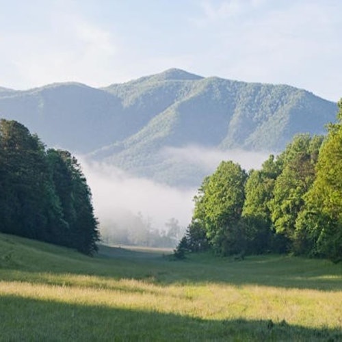 Sights of the Smokies