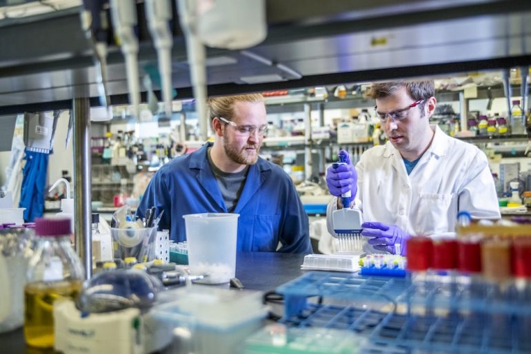 Ansa Biotechnologies