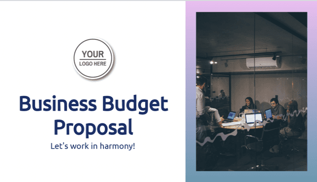 Business Budget Proposal