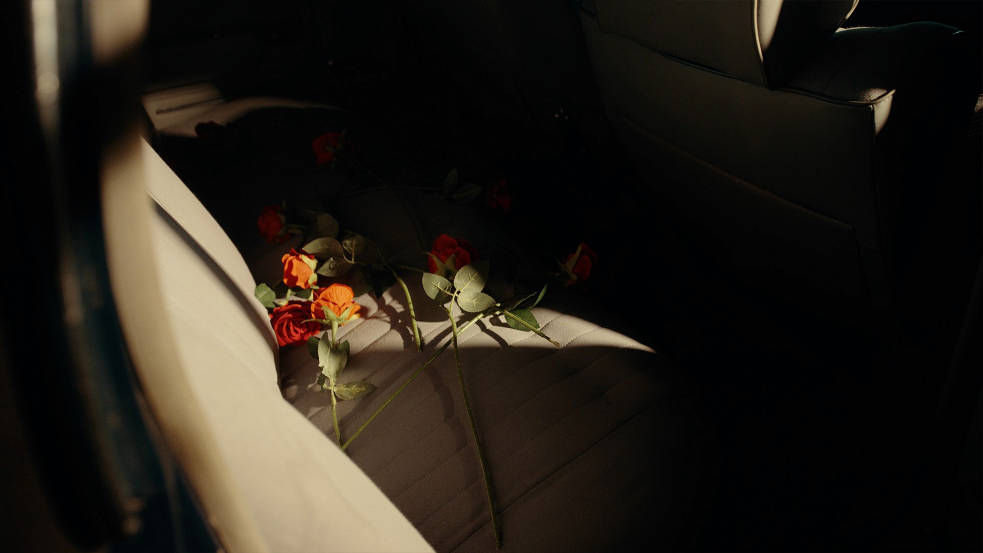 red roses in a car, cinematic light