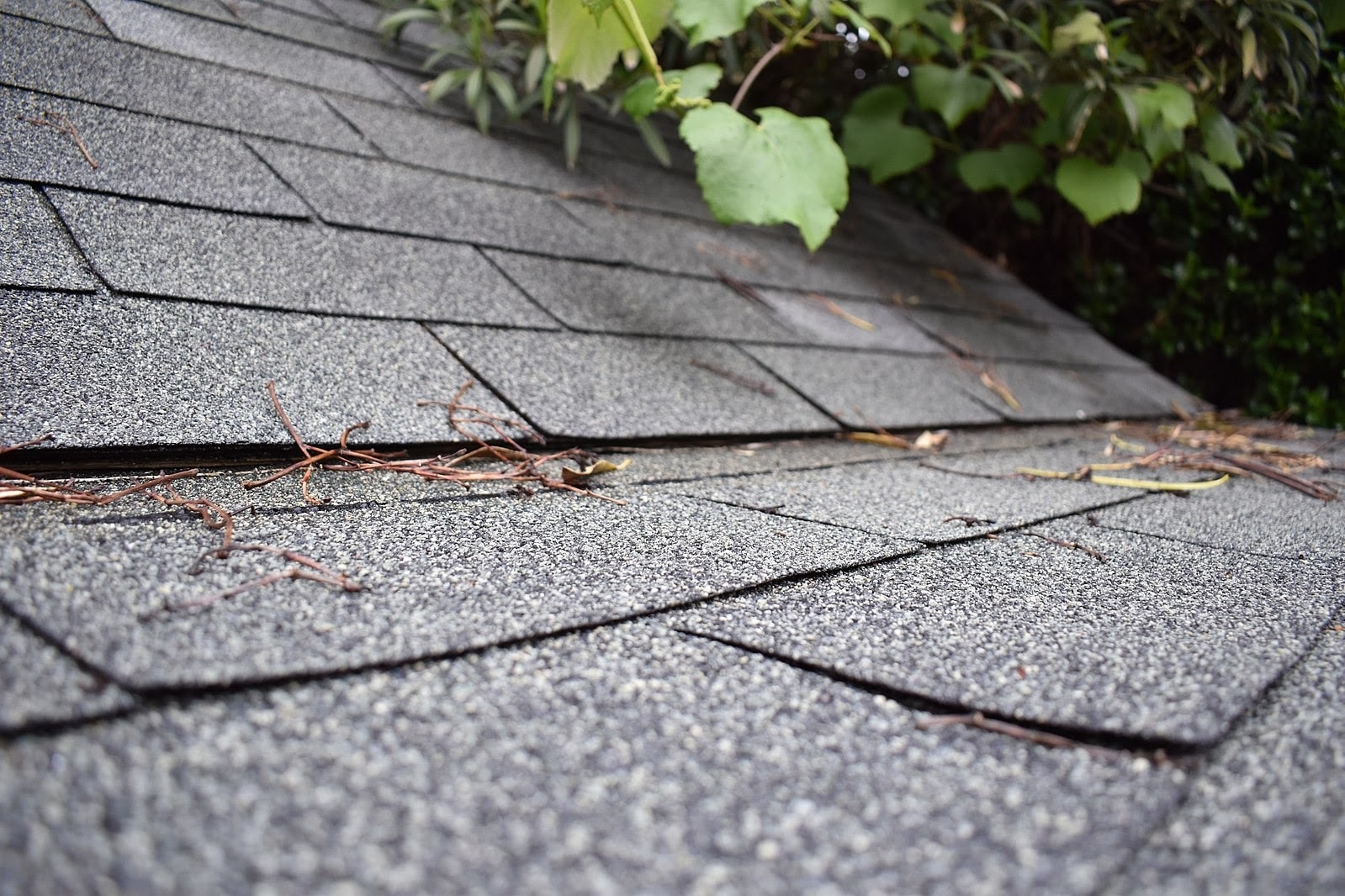 types of roof shingles