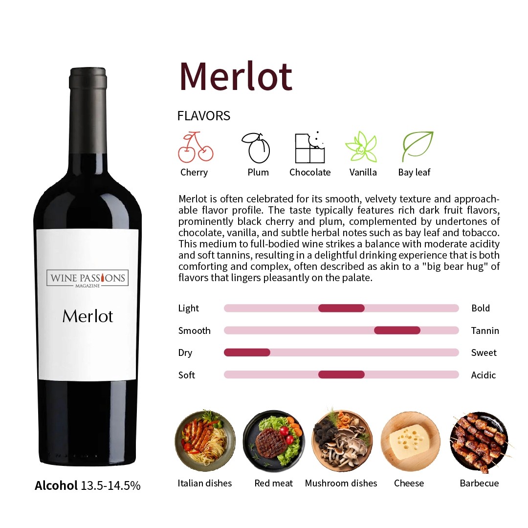 波爾多紅葡萄酒混釀 混釀品種 Cabernet Franc Petit Verdot Merlot Merlot Merlot特色 Merlot口感 Merlot發音 Merlot顏色 Merlot中文 Merlot葡萄酒 Merlot紅酒推薦 Merlot紅酒價格