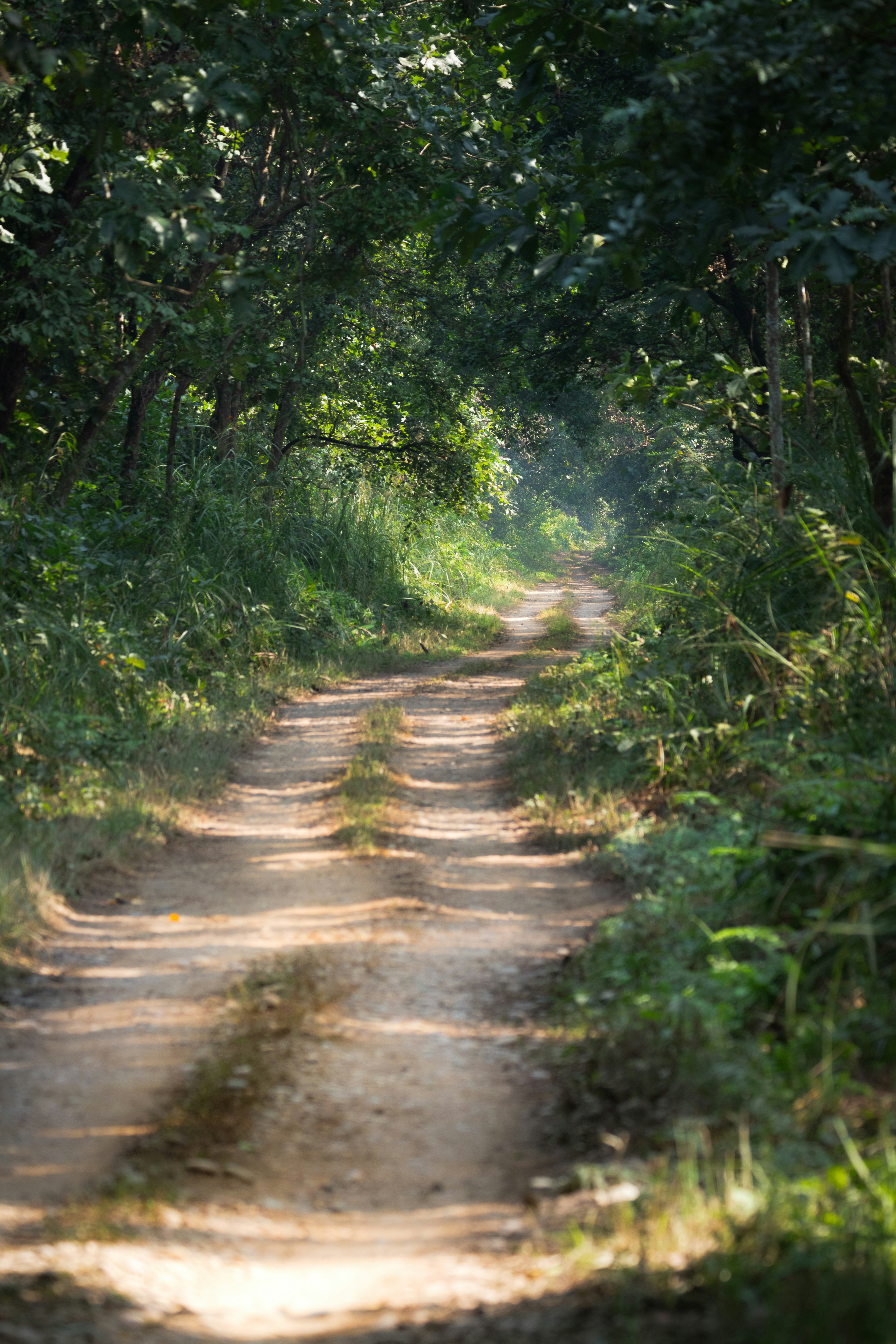 Road to netzero by recycling