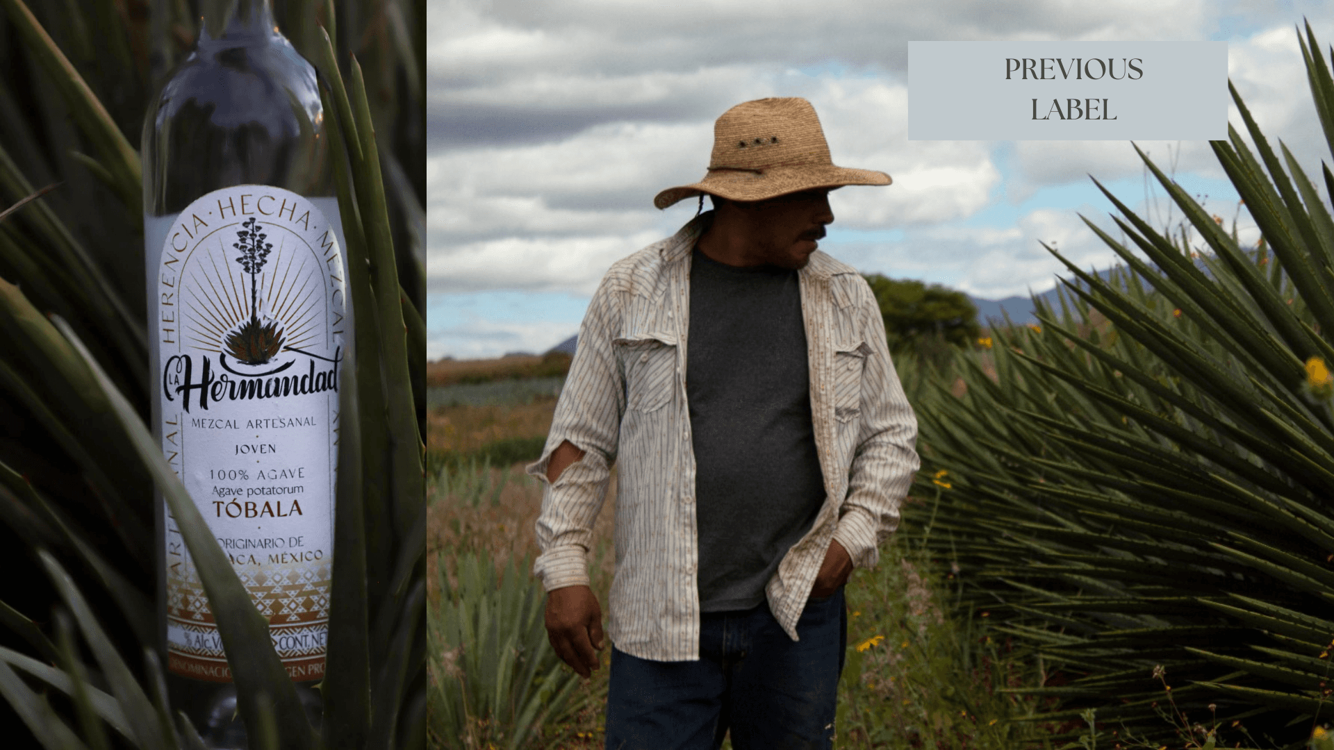 a man holding a cocktail