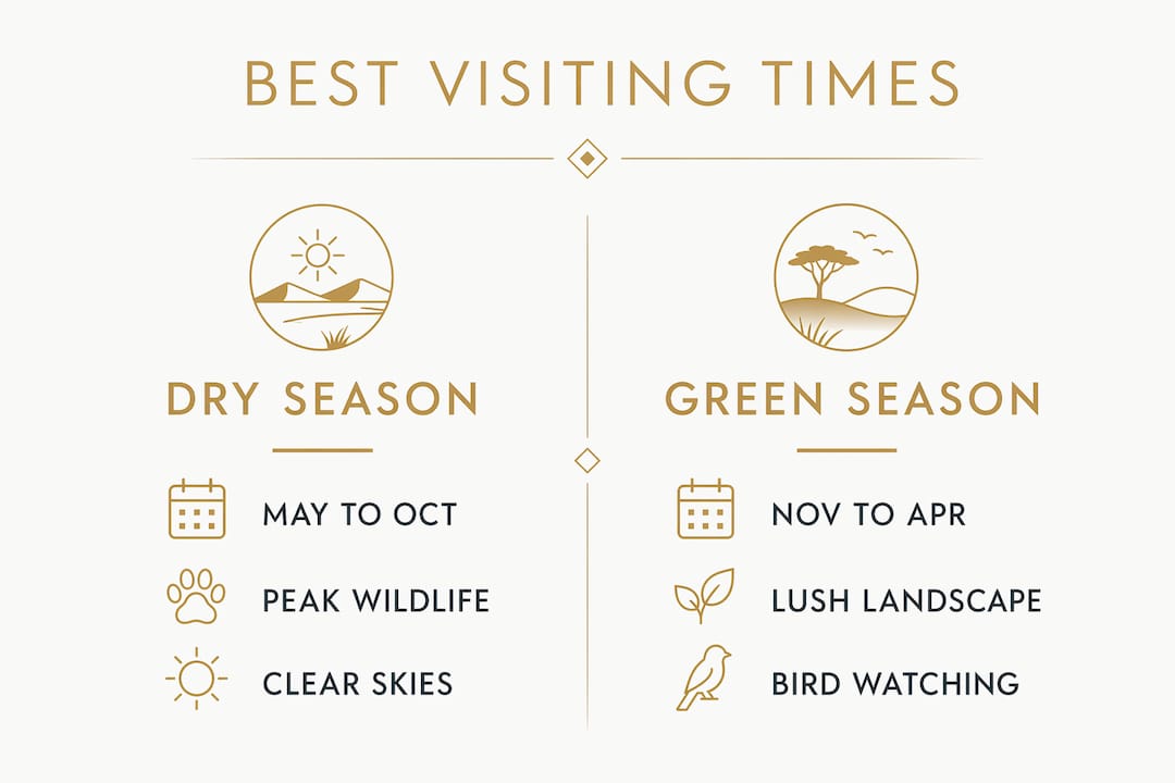 Infographic comparing dry and green seasons in Etosha