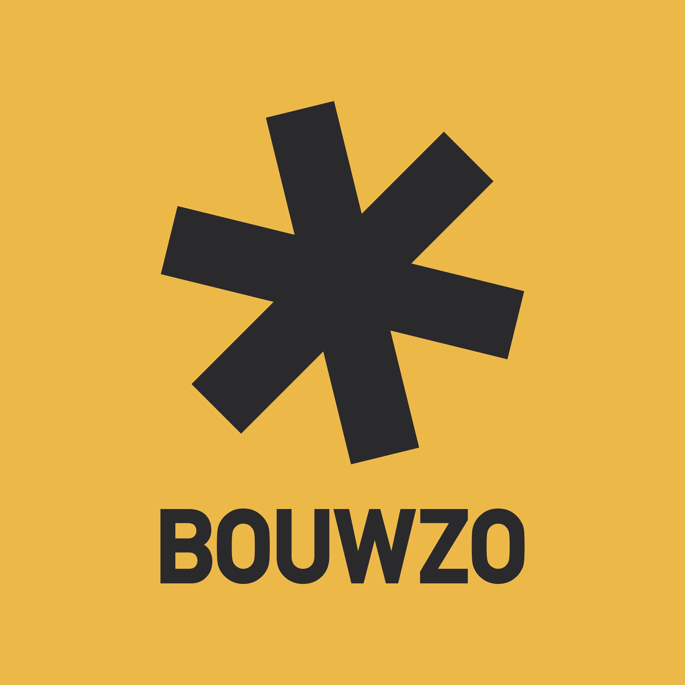 BouwZo logo