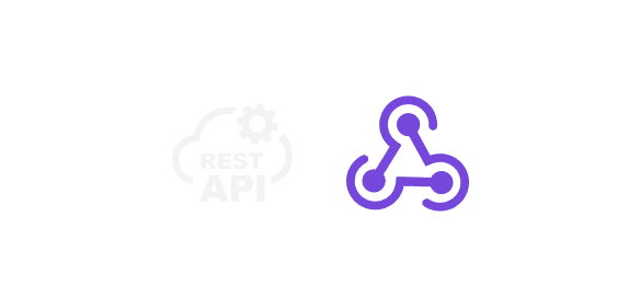 Logos of Rest API and webhooks, as examples of custom integration methods.
