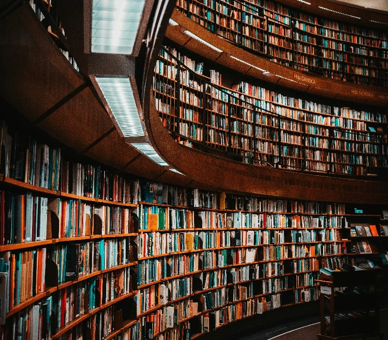 The ceiling of a library filled with lots of books