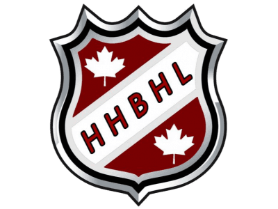 A TeamLinkt Sports League Partner Logo