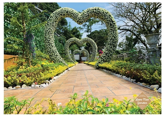 Love Tree — real celebration at Lazuri Tagaytay