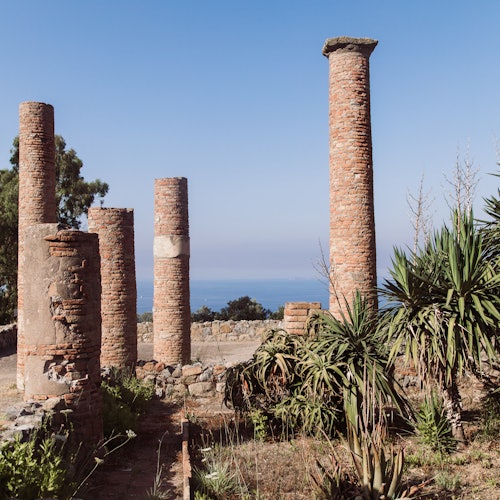 D'anciennes colonnes de briques se dressent parmi des plantes envahissantes avec la mer et un ciel bleu clair en arrière-plan.