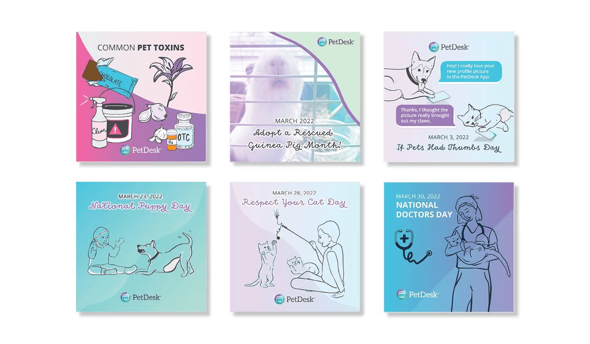 The Ultimate Guide to Spring Cleaning your Veterinary Practice|The Ultimate Guide to Spring Cleaning Your Veterinary Practice eBook