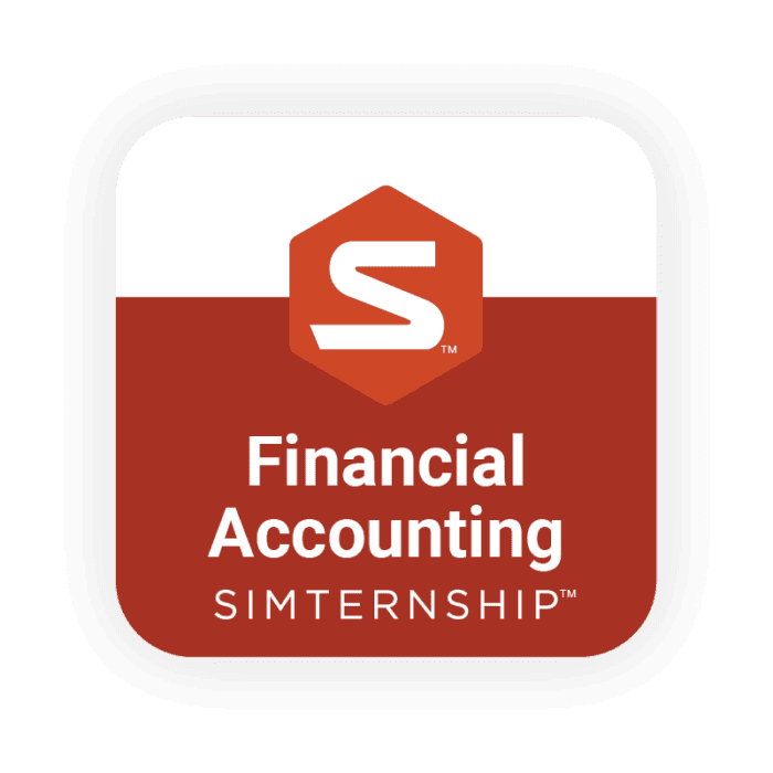 Financial Accounting Simulation