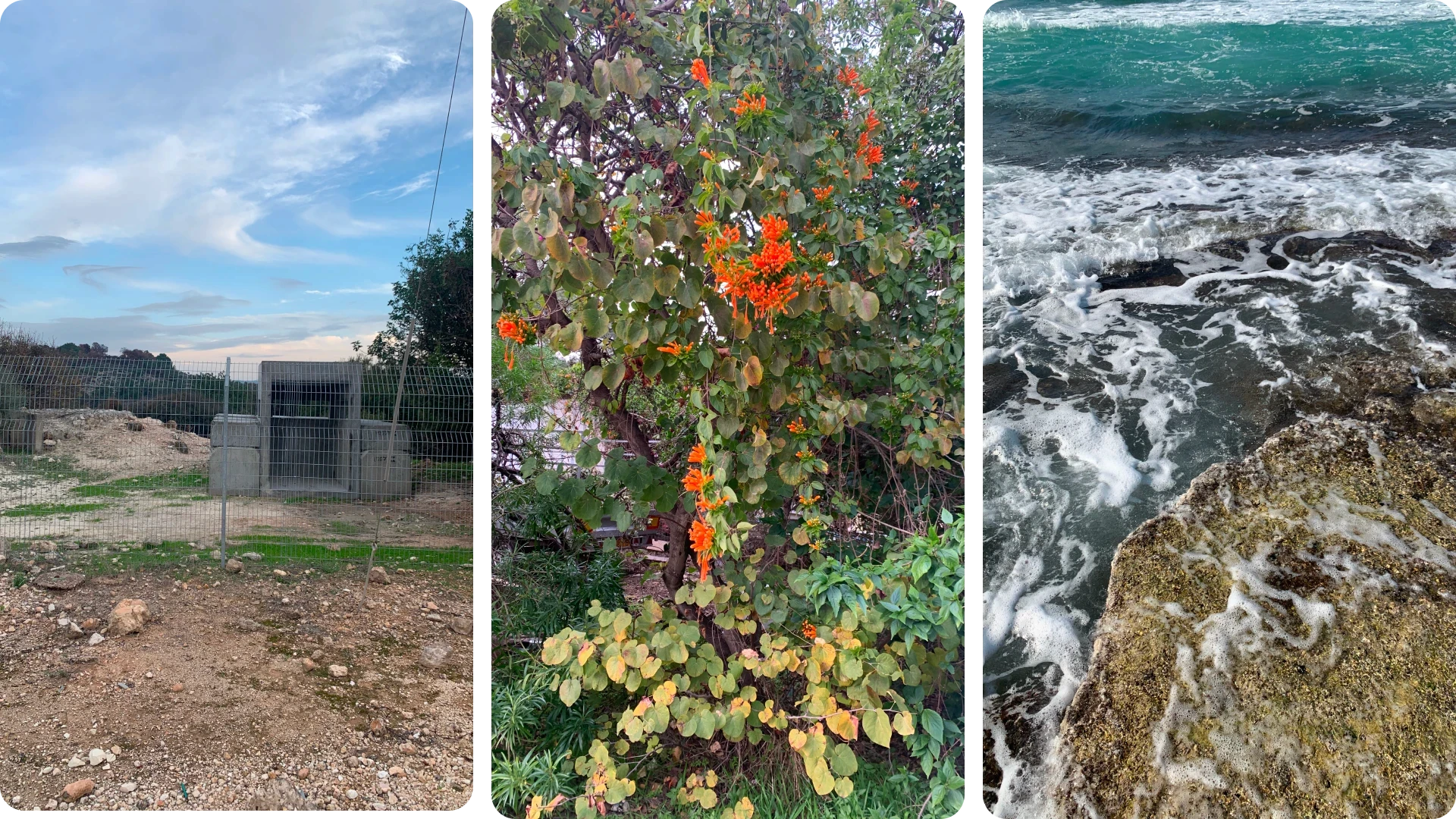 My, Izraelczycy, jesteśmy dziwnym narodem!