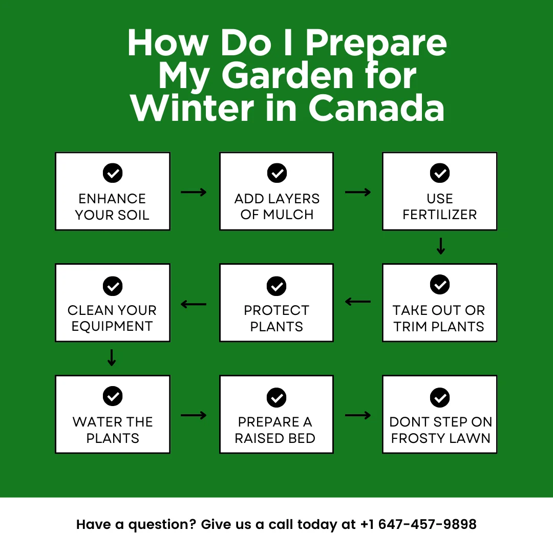 An infographic listing the steps of how do I prepare my garden for winter in Canada
