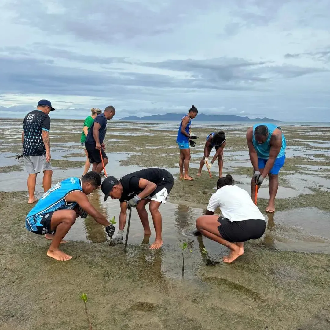 A group of dedicated locals are planting mangroves for the future generations of Fiji