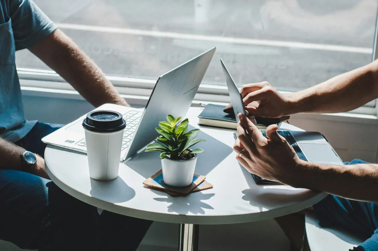 Two people working on laptops at a round table with a cup of coffee and a small plant.
