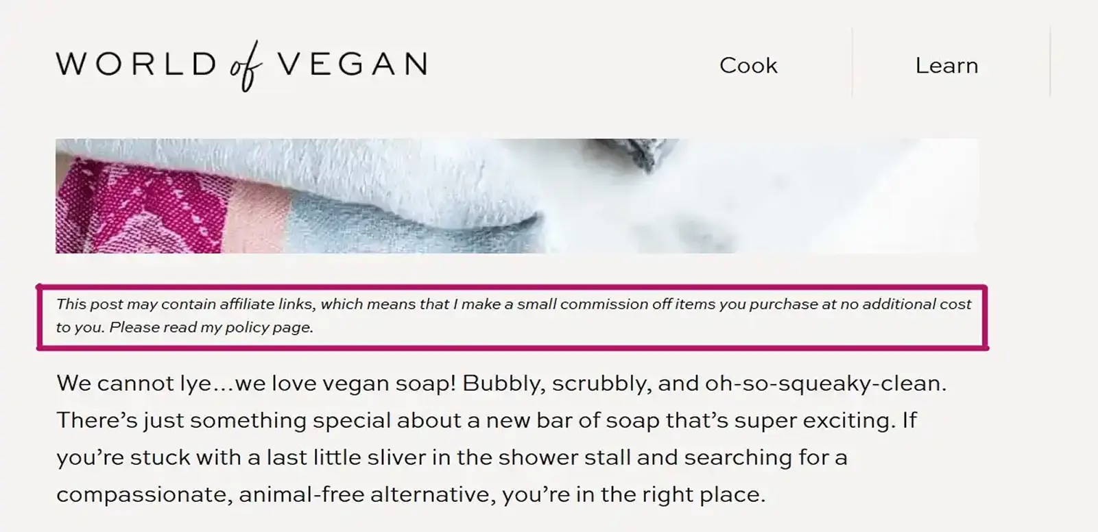 Affiliate Marketing Backlink