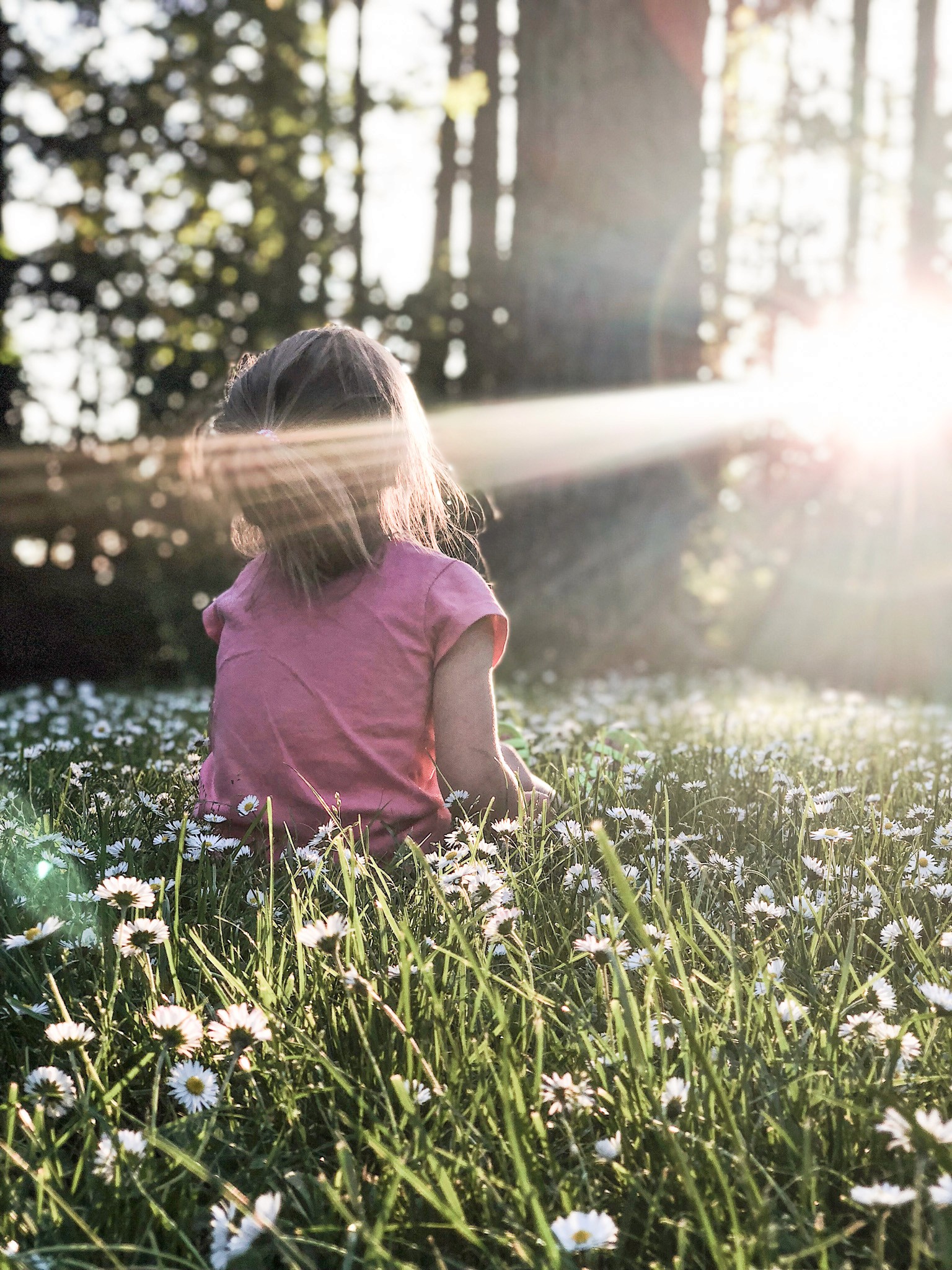Jente sitter i blomstereng med sol i fjeset