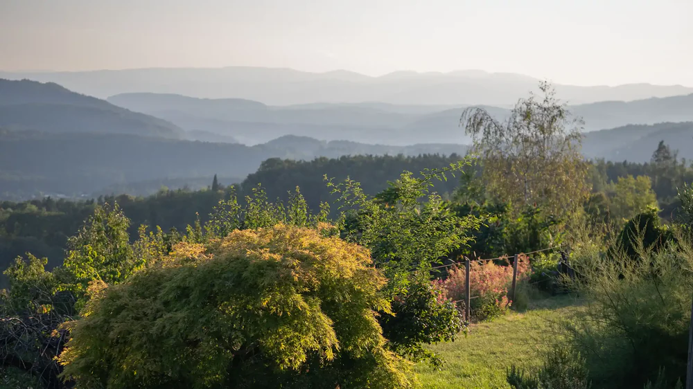 Hügelketten hinter Sträuchern und Wiese im dunstigen Morgenlicht