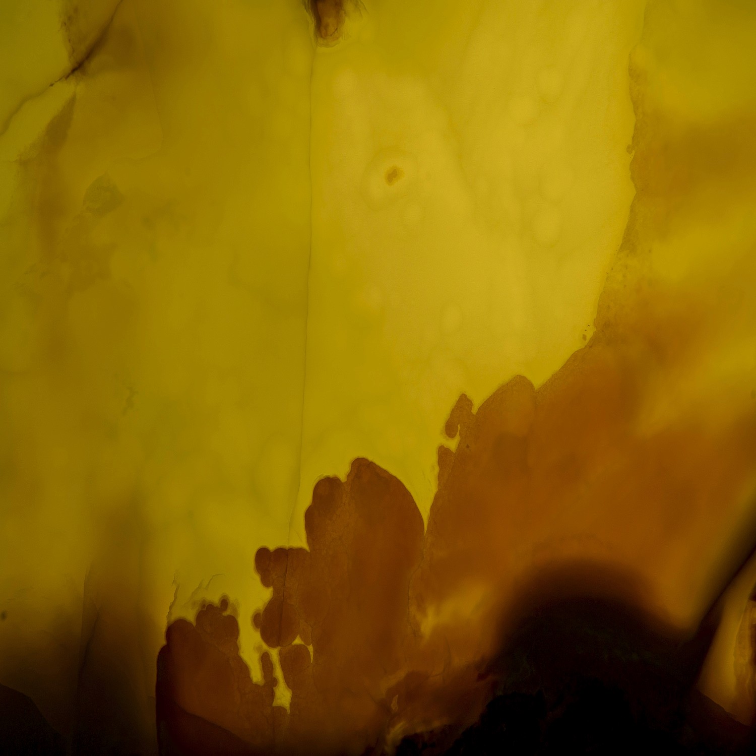 Persia Green Onyx golden shades